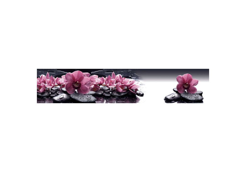 Панель SP MSK 2800*610*6 орхидеи на камнях