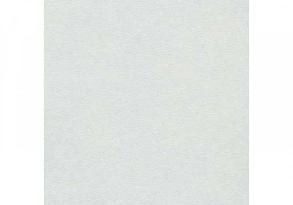 1011 Столешница 3050*600*38 мм 1U ВЛГ БЕЛЫЙ